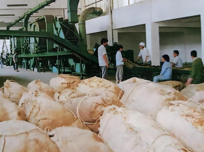 BOB半岛1996年我国最大冤案！18岁内蒙少年含冤而死脸颊震碎合不上眼(图2)