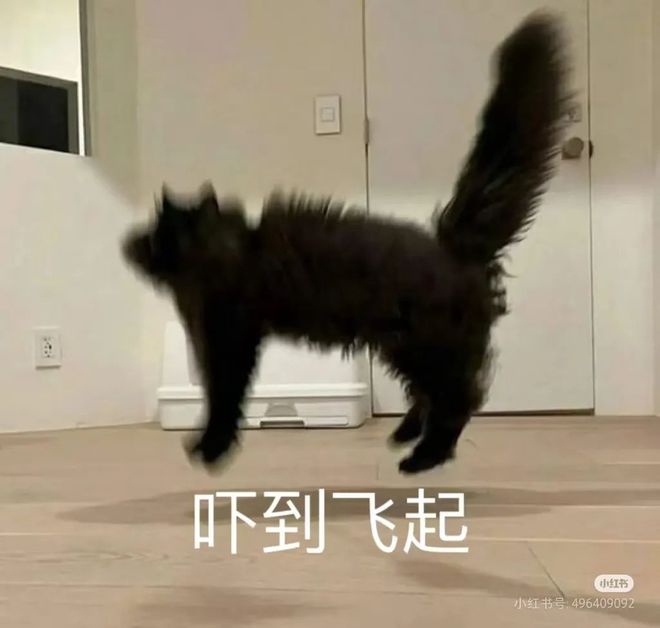 BOB半岛迷糊了一会回过神发现竟在排水沟里(图3)
